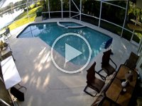 Louie Falling in Pool